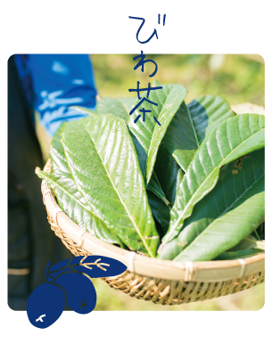 びわ茶